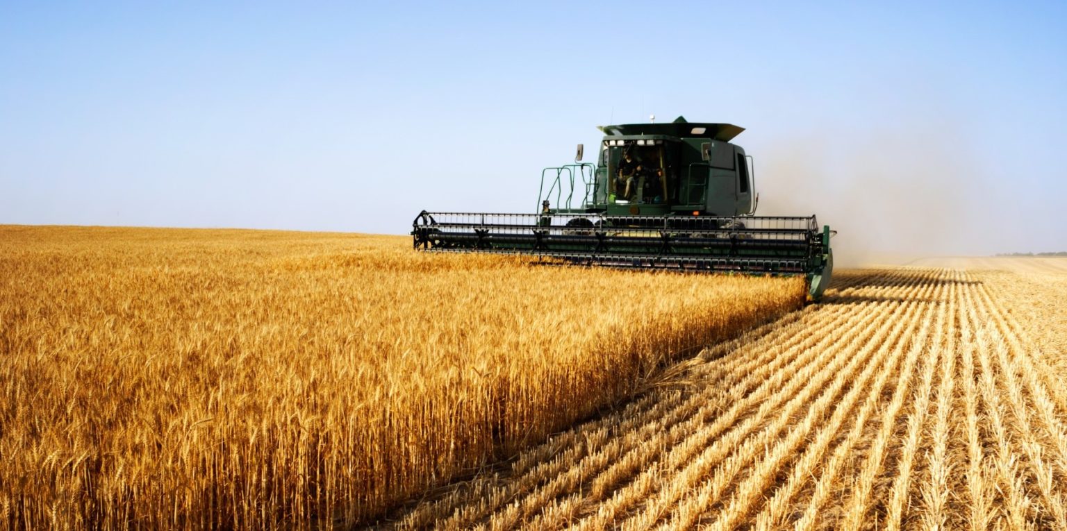 Visualizza la notizia: Programmazione 2023-2027: il nuovo ciclo dello sviluppo rurale