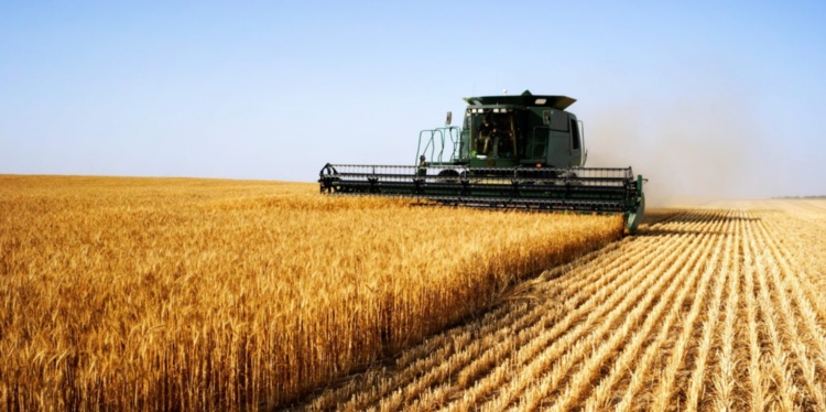 Programmazione 2023-2027: il nuovo ciclo dello sviluppo rurale